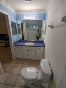 A small bathroom with blue wallpaper, a white sink and vanity, a toilet, and a person visible in the mirror.