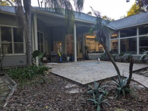 Back patio of a house with large windows, potted plants, outdoor furniture, and a cat standing on the paved area. Some tropical plants and garden tools are visible.